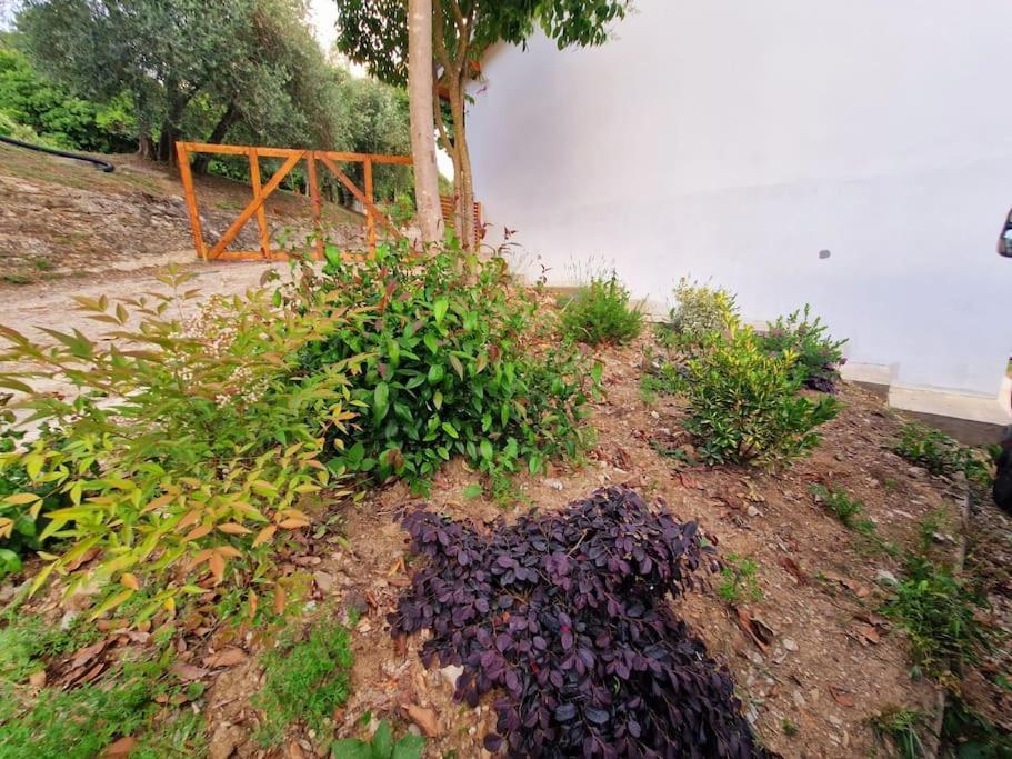 Appartamento Ombra Pontassieve Extérieur photo